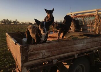 10 Things You Don’t Know About Being an Oil Investor