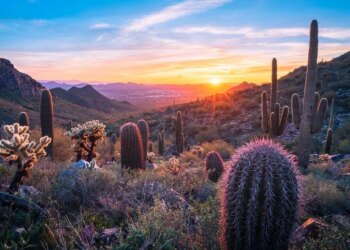 The Top Sober Spring Break Destinations In The U.S., Per New Analysis