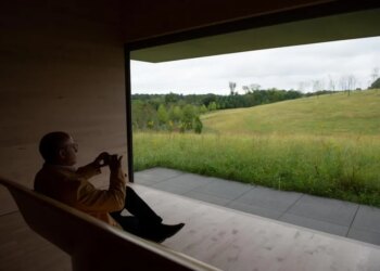 When Slow Growth Wins: Knowing When Not To Scale