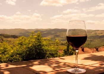 Why So Many Italian Wines Have A Slightly Salty Taste